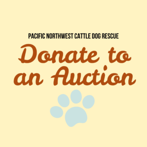 Donate to Our Next Auction