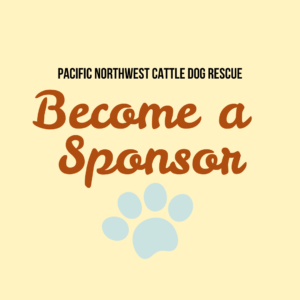 Become a Sponsor