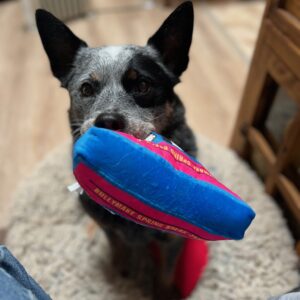 Get 40% Off A Bullymake Box